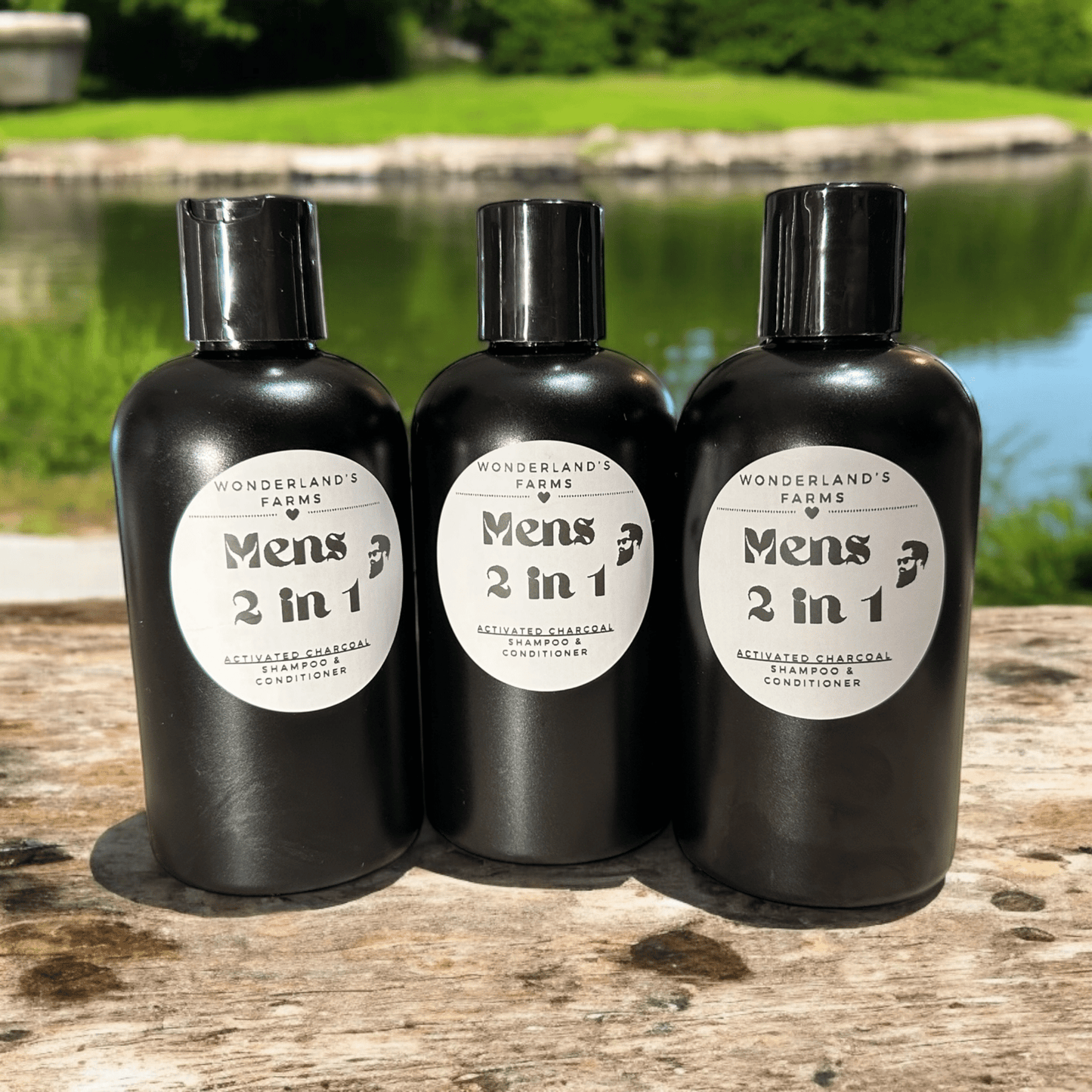 Men’s 2 in 1 - Charcoal Shampoo - Wonderland’s Farms