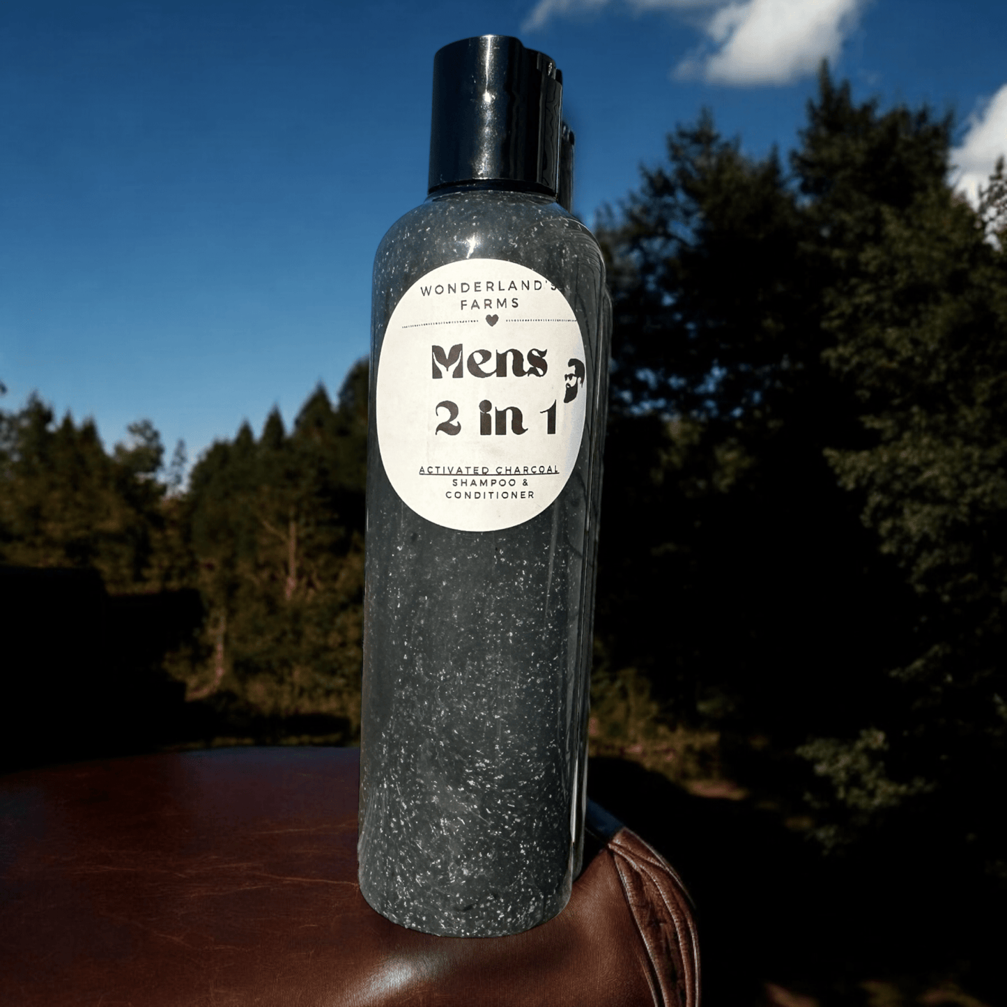 Men’s 2 in 1 - Charcoal Shampoo - Wonderland’s Farms