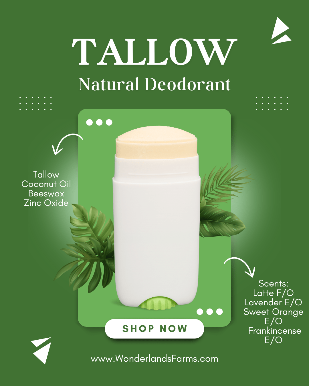 Natural Tallow Deodorant 🧔🏻♂️👩🦳 - Wonderland’s Farms
