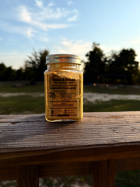 ✨ Shine & Shield ✨