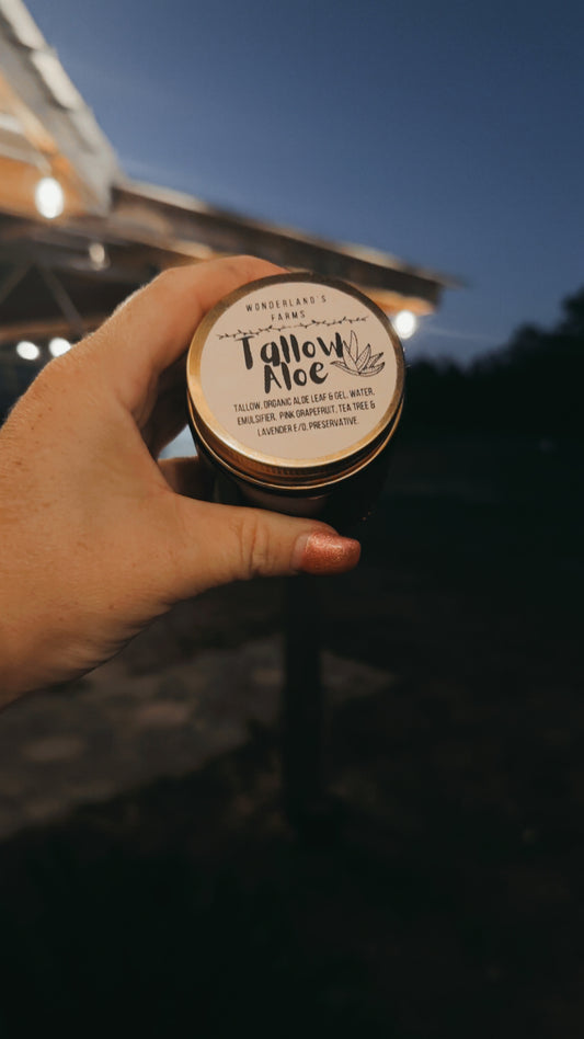 Tallow Aloe Healing🐮🌺