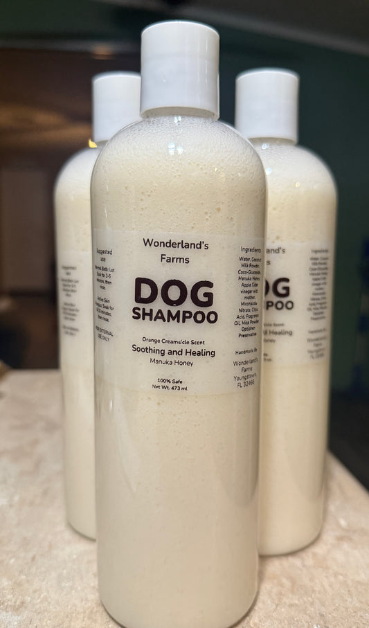 Medicated Honey DOG Shampoo 🫧