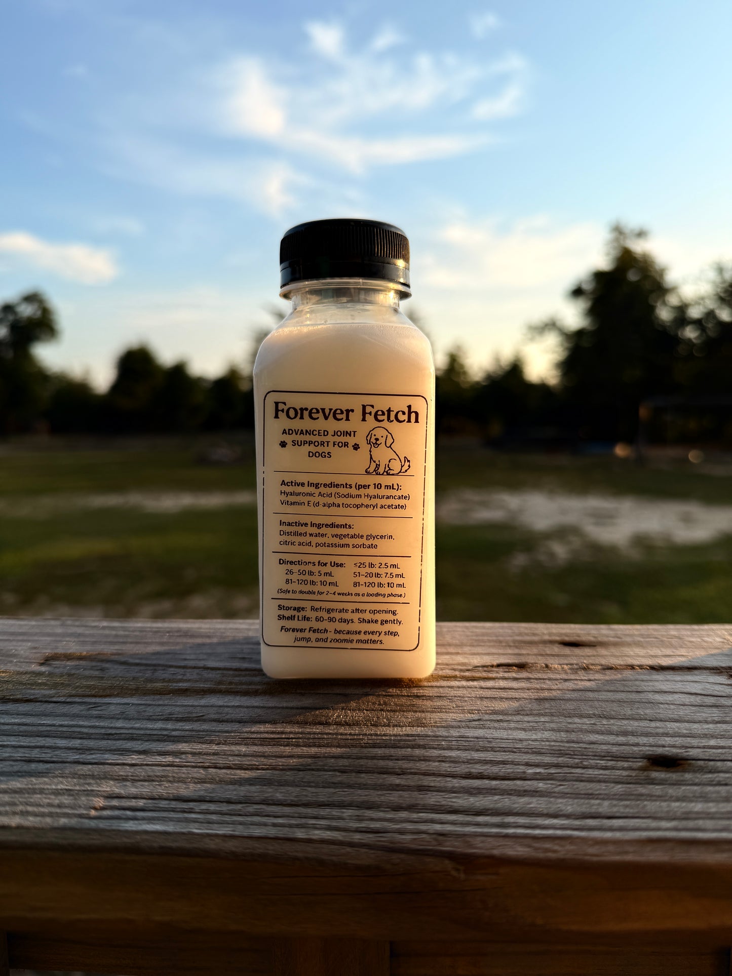 Forever Fetch 🎾 Dogs